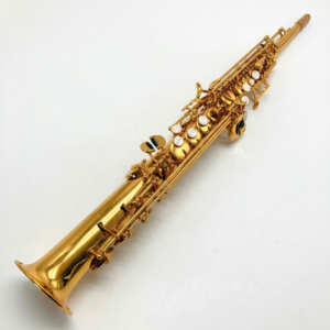 SS-01