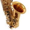 802 sax 5 AL-06