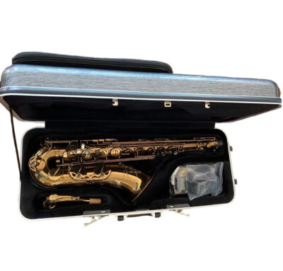 case 2 CS-01